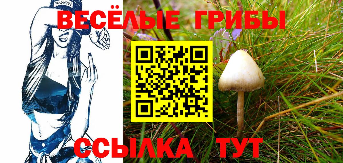 Псилоцибиновые грибы MAGIC MUSHROOMS  Вход с VPN  купить наркотик  Артёмовский 